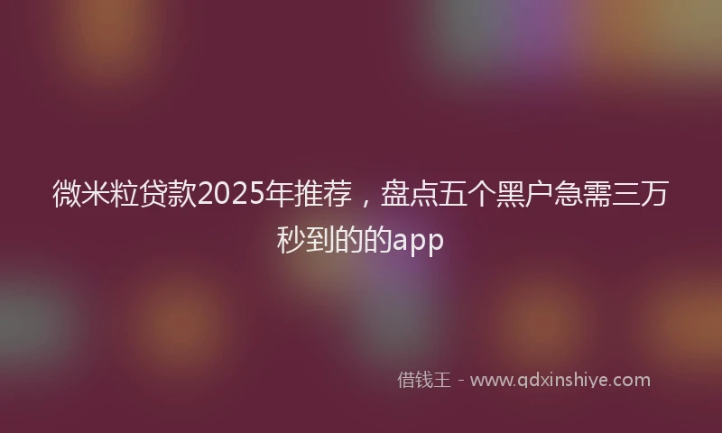 微米粒贷款2025年推荐，盘点五个黑户急需三万秒到的的app