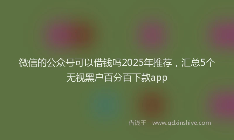 微信的公众号可以借钱吗2025年推荐，汇总5个无视黑户百分百下款app