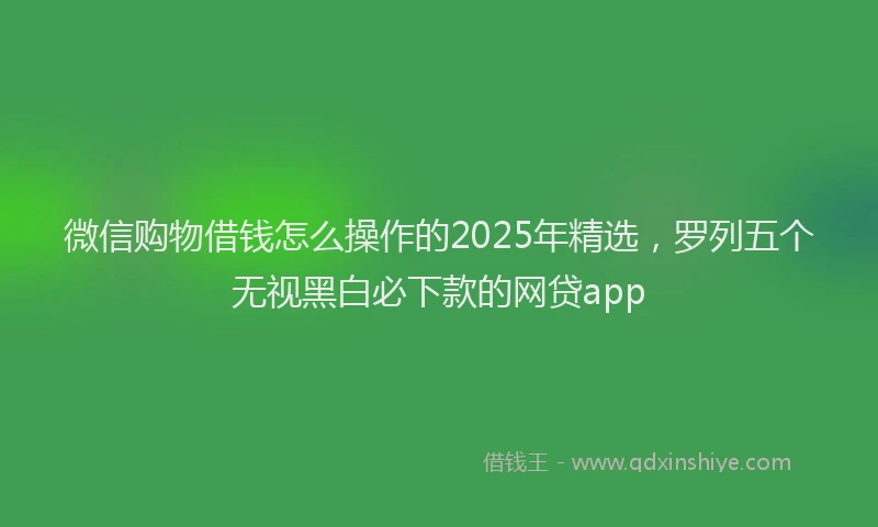 微信购物借钱怎么操作的2025年精选，罗列五个无视黑白必下款的网贷app