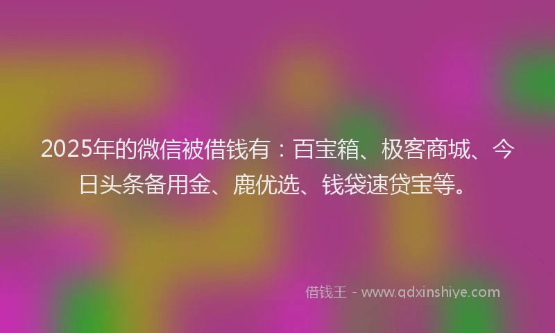 2025年的微信被借钱有：百宝箱、极客商城、今日头条备用金、鹿优选、钱袋速贷宝等。