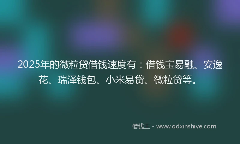 2025年的微粒贷借钱速度有：借钱宝易融、安逸花、瑞泽钱包、小米易贷、微粒贷等。
