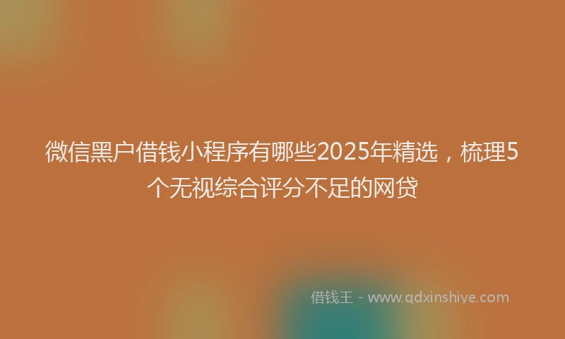 微信黑户借钱小程序有哪些2025年精选，梳理5个无视综合评分不足的网贷