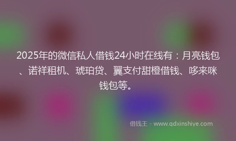 2025年的微信私人借钱24小时在线有：月亮钱包、诺祥租机、琥珀贷、翼支付甜橙借钱、哆来咪钱包等。