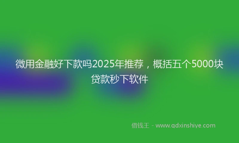 微用金融好下款吗2025年推荐，概括五个5000块贷款秒下软件