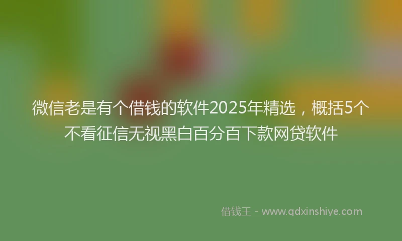 微信老是有个借钱的软件2025年精选，概括5个不看征信无视黑白百分百下款网贷软件