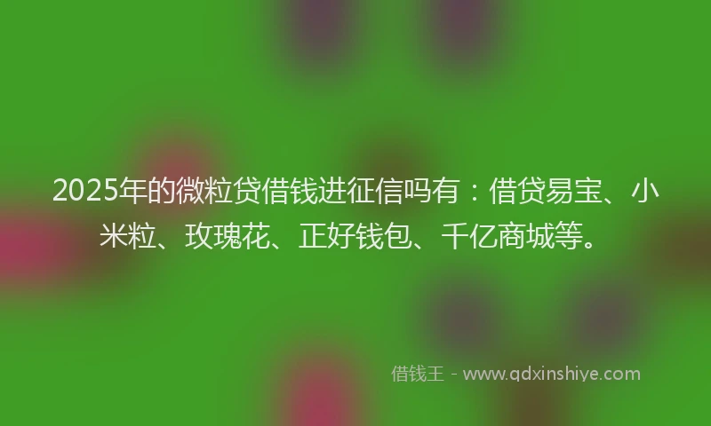 2025年的微粒贷借钱进征信吗有：借贷易宝、小米粒、玫瑰花、正好钱包、千亿商城等。