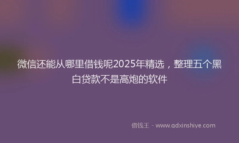 微信还能从哪里借钱呢2025年精选，整理五个黑白贷款不是高炮的软件