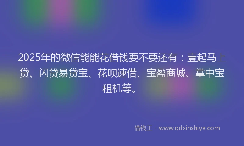 2025年的微信能能花借钱要不要还有：壹起马上贷、闪贷易贷宝、花呗速借、宝盈商城、掌中宝租机等。