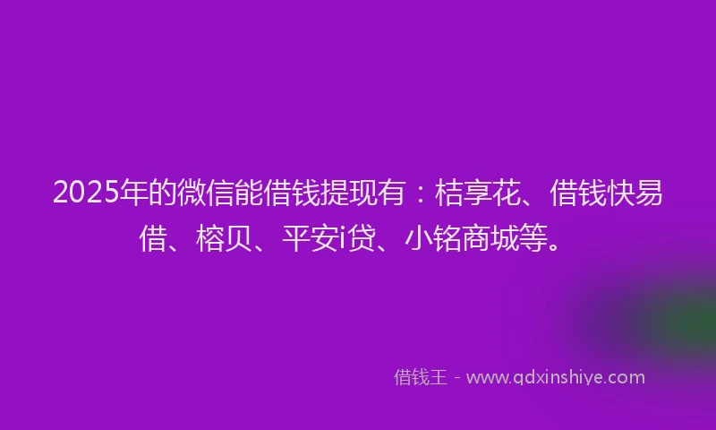 2025年的微信能借钱提现有：桔享花、借钱快易借、榕贝、平安i贷、小铭商城等。