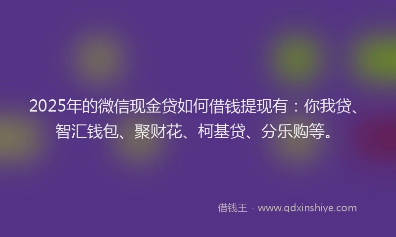 2025年的微信现金贷如何借钱提现有：你我贷、智汇钱包、聚财花、柯基贷、分乐购等。