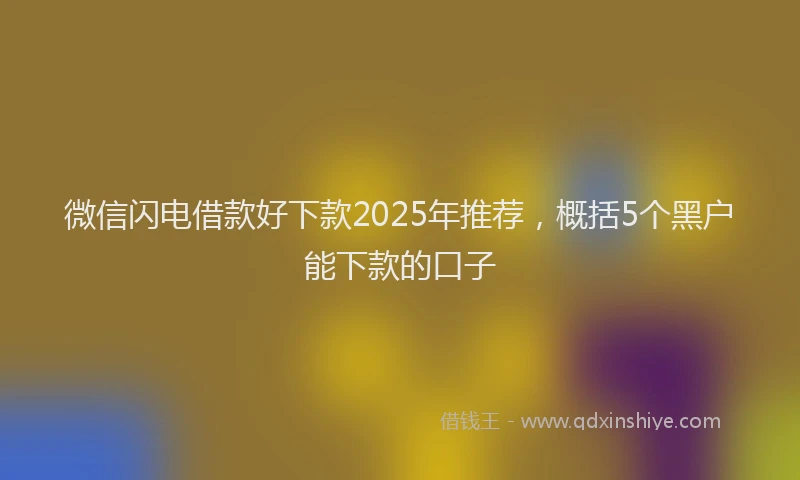 微信闪电借款好下款2025年推荐，概括5个黑户能下款的口子