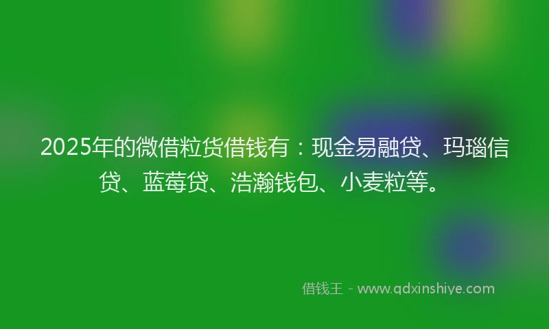 2025年的微借粒货借钱有：现金易融贷、玛瑙信贷、蓝莓贷、浩瀚钱包、小麦粒等。