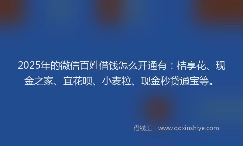 2025年的微信百姓借钱怎么开通有：桔享花、现金之家、宜花呗、小麦粒、现金秒贷通宝等。