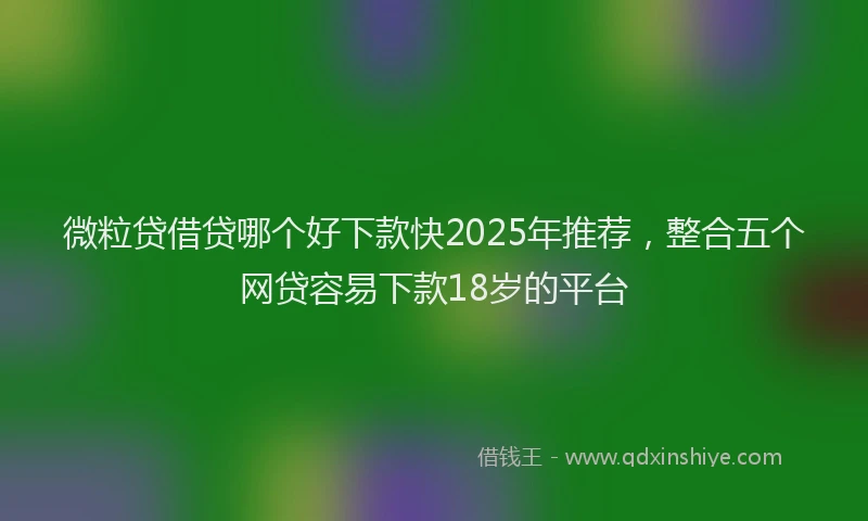 微粒贷借贷哪个好下款快2025年推荐，整合五个网贷容易下款18岁的平台