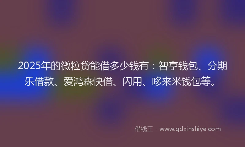 2025年的微粒贷能借多少钱有：智享钱包、分期乐借款、爱鸿森快借、闪用、哆来米钱包等。