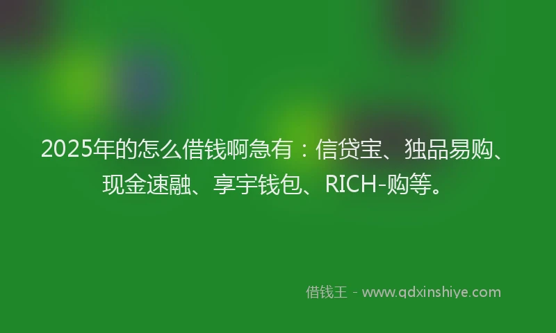 2025年的怎么借钱啊急有：信贷宝、独品易购、现金速融、享宇钱包、RICH-购等。