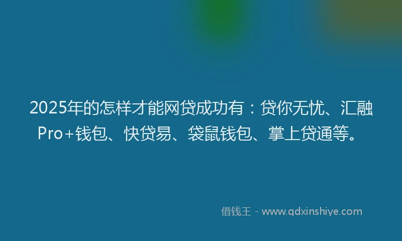 2025年的怎样才能网贷成功有：贷你无忧、汇融Pro+钱包、快贷易、袋鼠钱包、掌上贷通等。