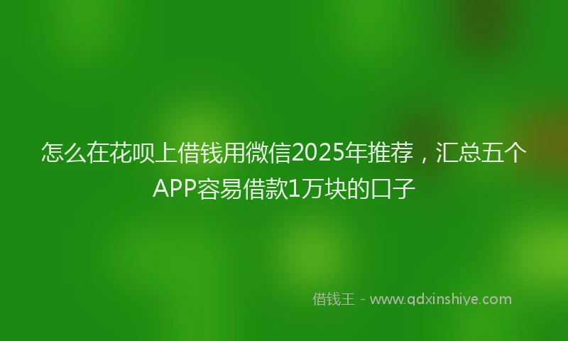 怎么在花呗上借钱用微信2025年推荐，汇总五个APP容易借款1万块的口子
