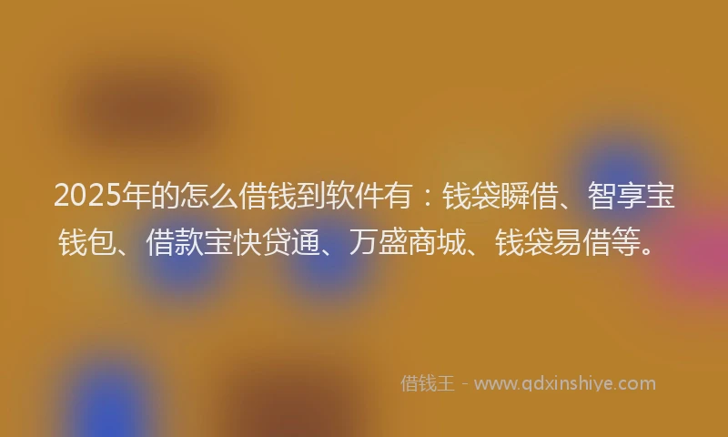 2025年的怎么借钱到软件有：钱袋瞬借、智享宝钱包、借款宝快贷通、万盛商城、钱袋易借等。