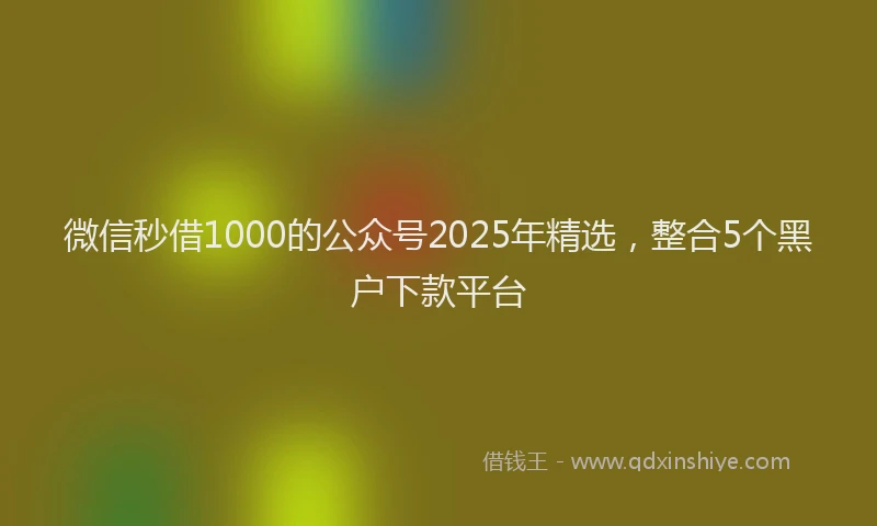 微信秒借1000的公众号2025年精选，整合5个黑户下款平台