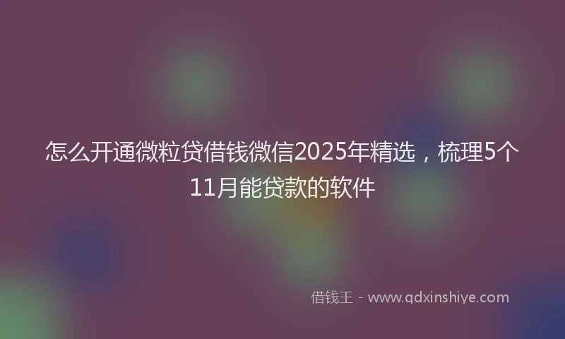 怎么开通微粒贷借钱微信2025年精选，梳理5个11月能贷款的软件