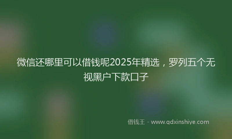 微信还哪里可以借钱呢2025年精选，罗列五个无视黑户下款口子