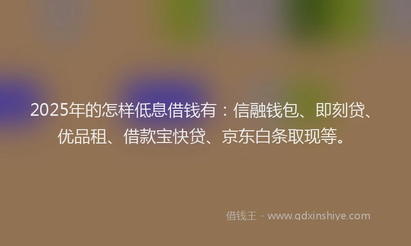 2025年的怎样低息借钱有：信融钱包、即刻贷、优品租、借款宝快贷、京东白条取现等。