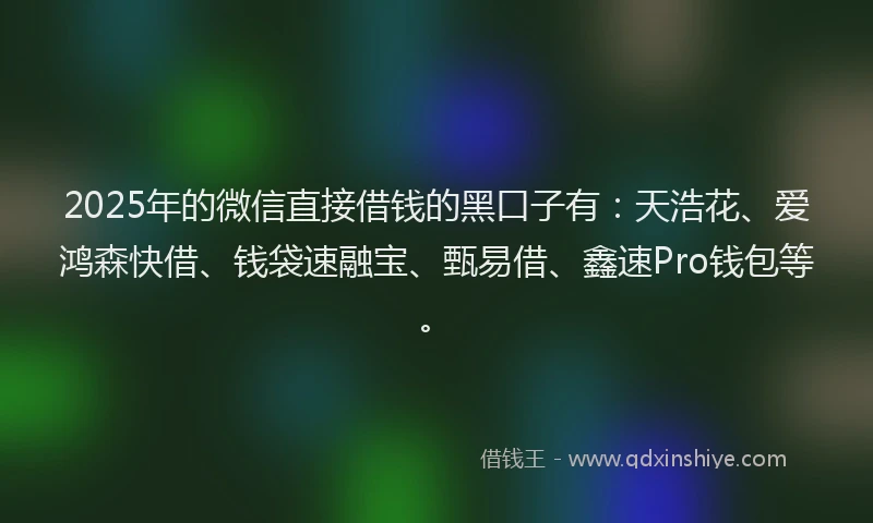2025年的微信直接借钱的黑口子有：天浩花、爱鸿森快借、钱袋速融宝、甄易借、鑫速Pro钱包等。