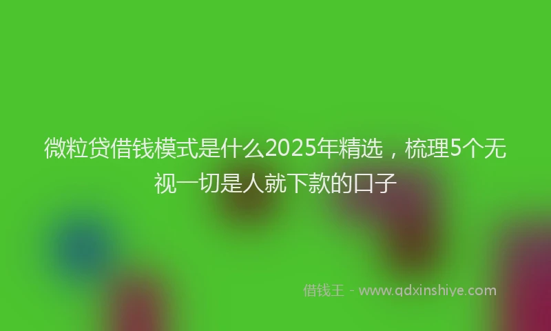 微粒贷借钱模式是什么2025年精选，梳理5个无视一切是人就下款的口子