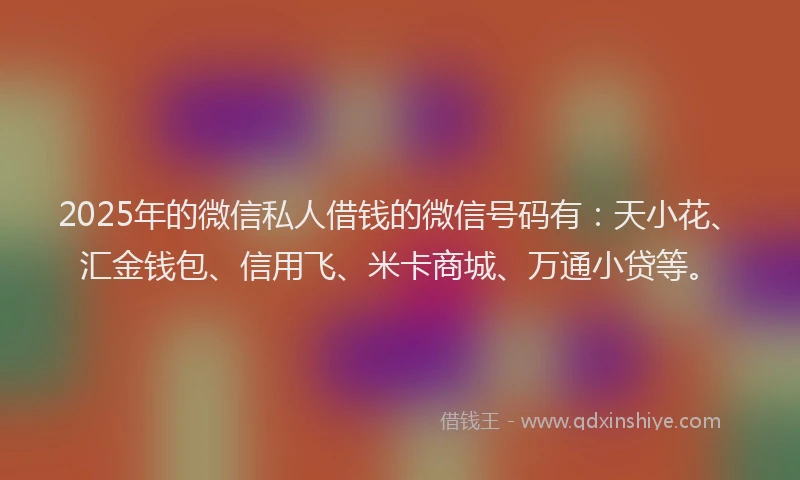 2025年的微信私人借钱的微信号码有：天小花、汇金钱包、信用飞、米卡商城、万通小贷等。