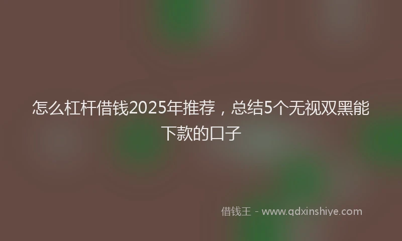 怎么杠杆借钱2025年推荐，总结5个无视双黑能下款的口子