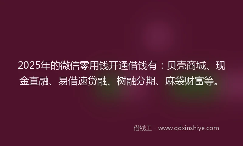 2025年的微信零用钱开通借钱有：贝壳商城、现金直融、易借速贷融、树融分期、麻袋财富等。