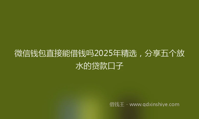 微信钱包直接能借钱吗2025年精选，分享五个放水的贷款口子