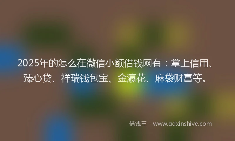 2025年的怎么在微信小额借钱网有：掌上信用、臻心贷、祥瑞钱包宝、金瀛花、麻袋财富等。