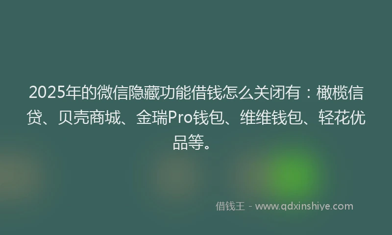2025年的微信隐藏功能借钱怎么关闭有：橄榄信贷、贝壳商城、金瑞Pro钱包、维维钱包、轻花优品等。