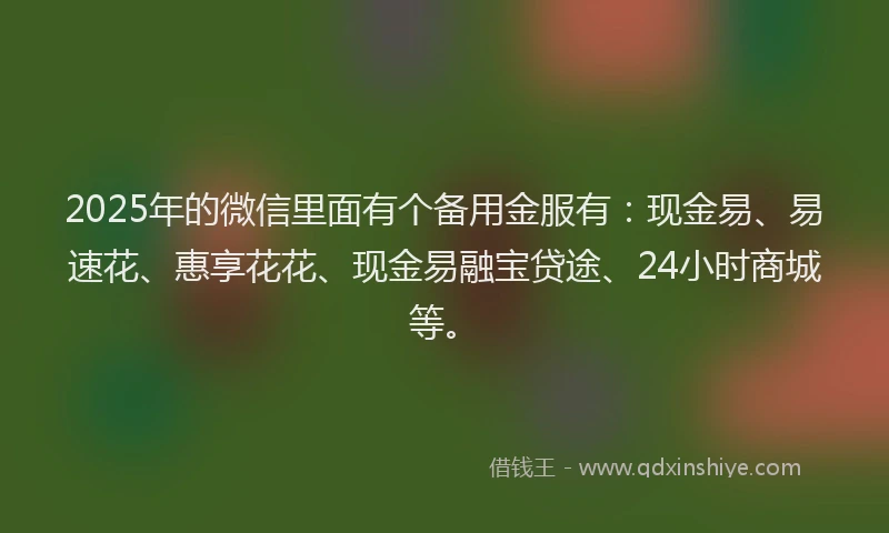 2025年的微信里面有个备用金服有：现金易、易速花、惠享花花、现金易融宝贷途、24小时商城等。