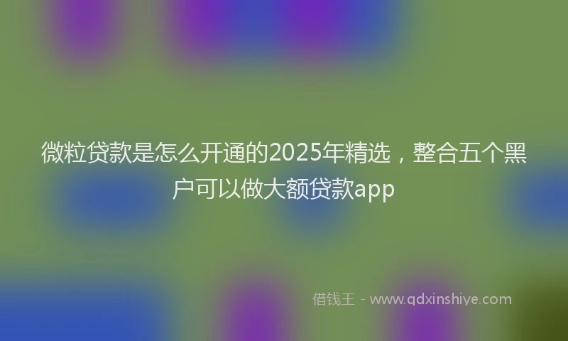 微粒贷款是怎么开通的2025年精选，整合五个黑户可以做大额贷款app