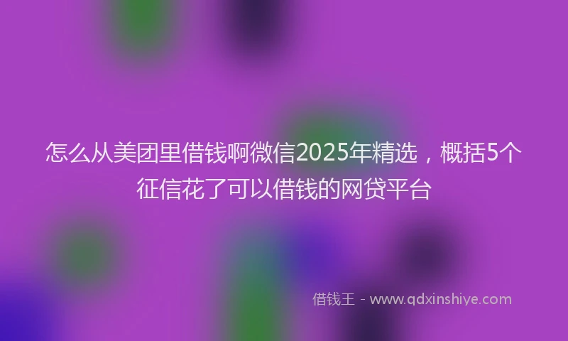 怎么从美团里借钱啊微信2025年精选，概括5个征信花了可以借钱的网贷平台