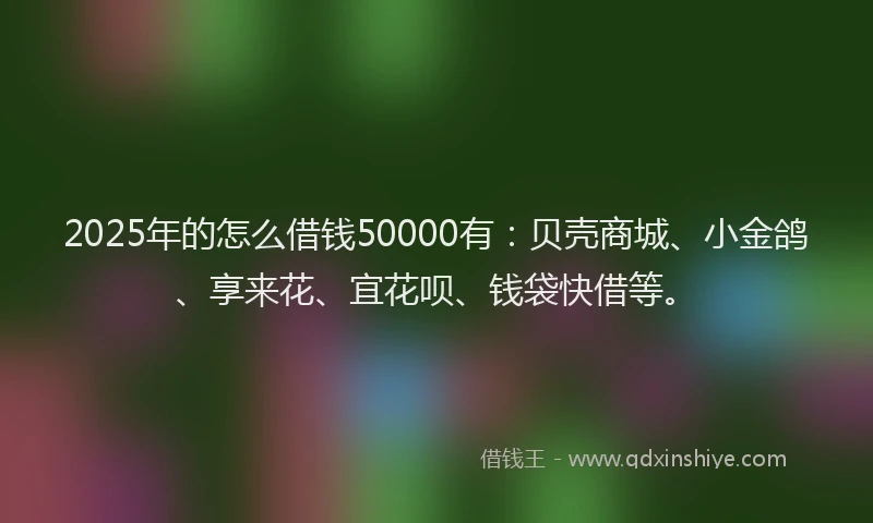 2025年的怎么借钱50000有：贝壳商城、小金鸽、享来花、宜花呗、钱袋快借等。