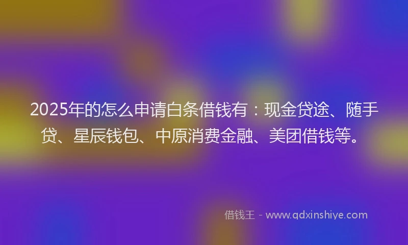 2025年的怎么申请白条借钱有：现金贷途、随手贷、星辰钱包、中原消费金融、美团借钱等。