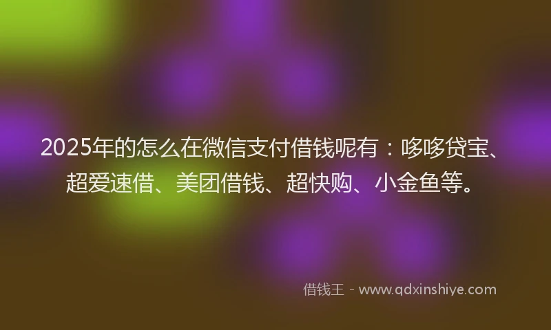 2025年的怎么在微信支付借钱呢有：哆哆贷宝、超爱速借、美团借钱、超快购、小金鱼等。