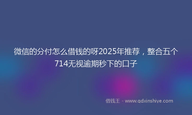 微信的分付怎么借钱的呀2025年推荐，整合五个714无视逾期秒下的口子