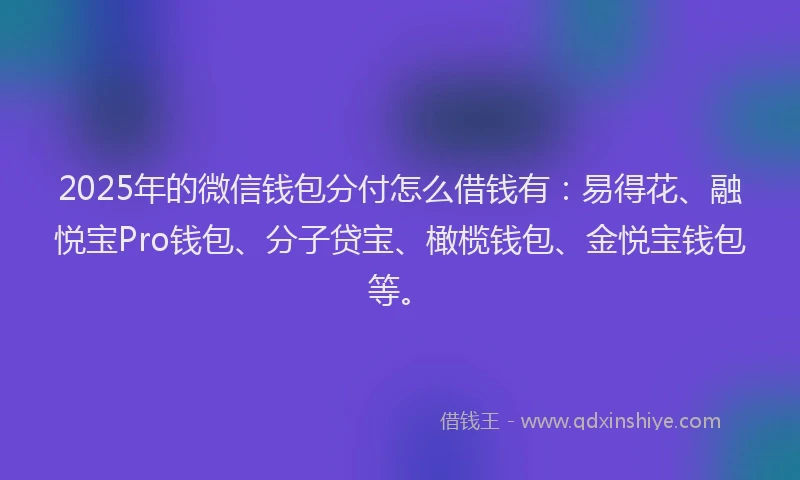 2025年的微信钱包分付怎么借钱有：易得花、融悦宝Pro钱包、分子贷宝、橄榄钱包、金悦宝钱包等。