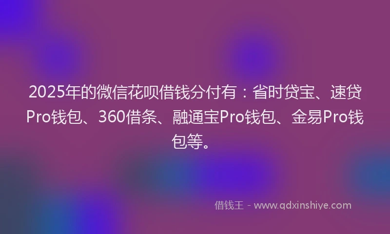 2025年的微信花呗借钱分付有：省时贷宝、速贷Pro钱包、360借条、融通宝Pro钱包、金易Pro钱包等。