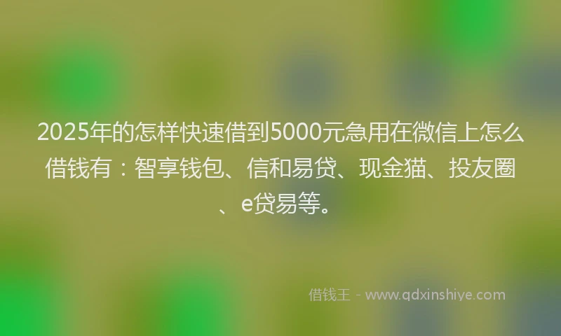 2025年的怎样快速借到5000元急用在微信上怎么借钱有：智享钱包、信和易贷、现金猫、投友圈、e贷易等。