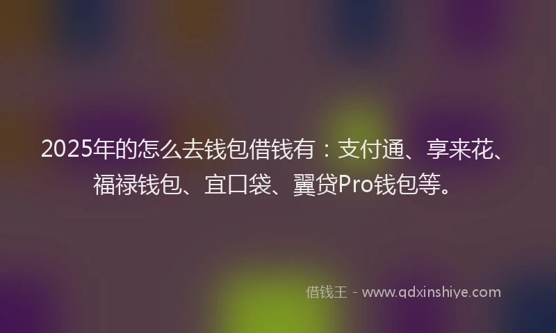 2025年的怎么去钱包借钱有：支付通、享来花、福禄钱包、宜口袋、翼贷Pro钱包等。