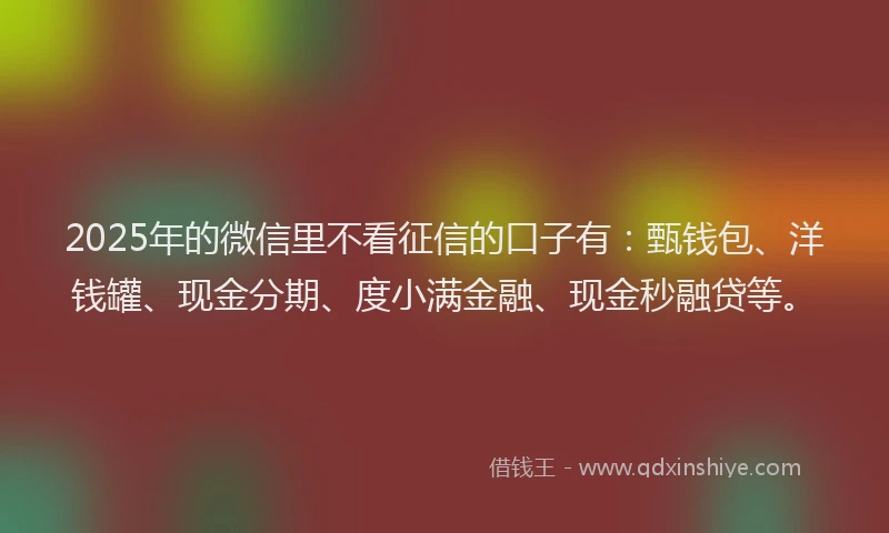 2025年的微信里不看征信的口子有：甄钱包、洋钱罐、现金分期、度小满金融、现金秒融贷等。