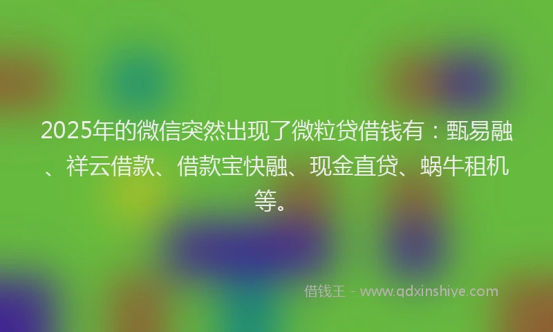 2025年的微信突然出现了微粒贷借钱有：甄易融、祥云借款、借款宝快融、现金直贷、蜗牛租机等。