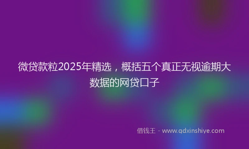 微贷款粒2025年精选，概括五个真正无视逾期大数据的网贷口子