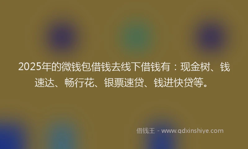 2025年的微钱包借钱去线下借钱有：现金树、钱速达、畅行花、银票速贷、钱进快贷等。